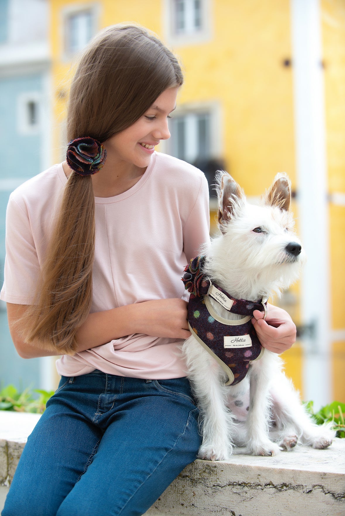 Scooby Dog Harness - マルチスポット ワイン
