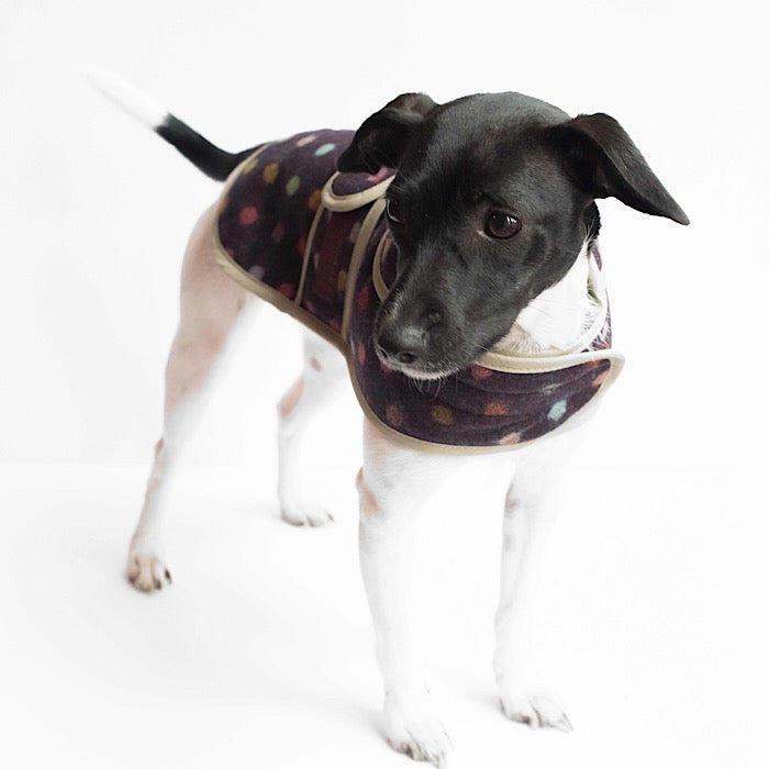 Jasper Dog Coat - マルチスポット ワイン