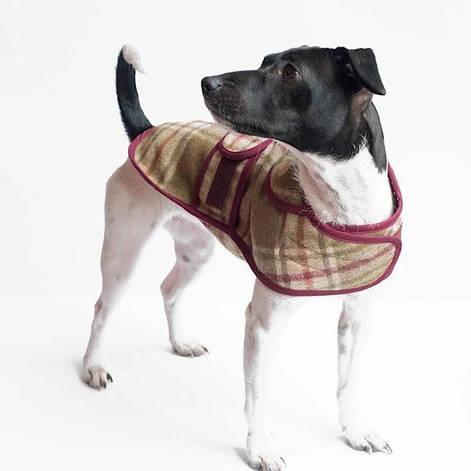 Jasper Dog Coat - アーンクリフ ムーンストーン