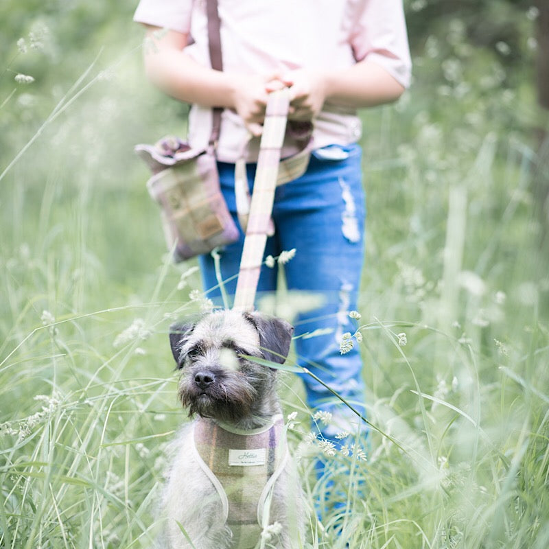 Scooby Dog Harness - ガーグレーブ ライラック