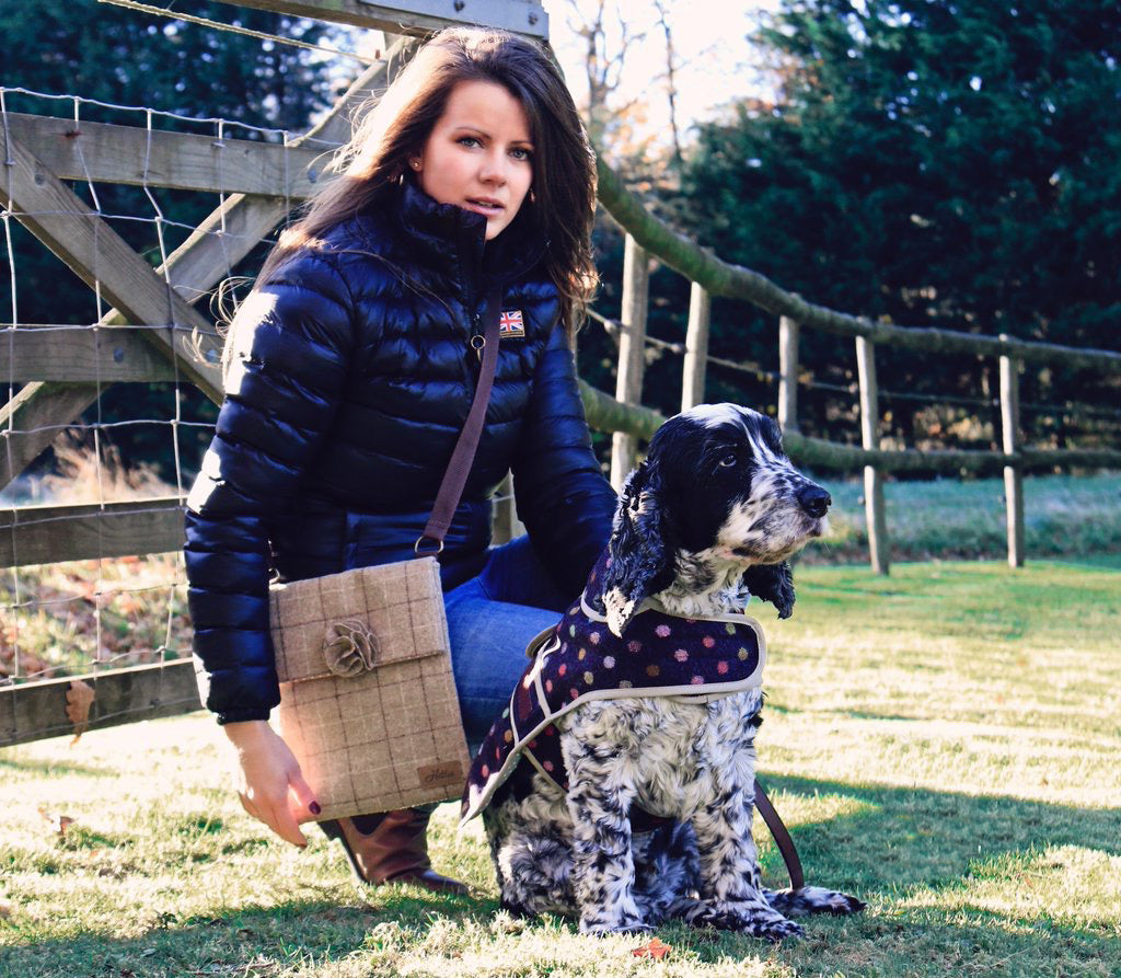 Jasper Dog Coat - マルチスポット ワイン