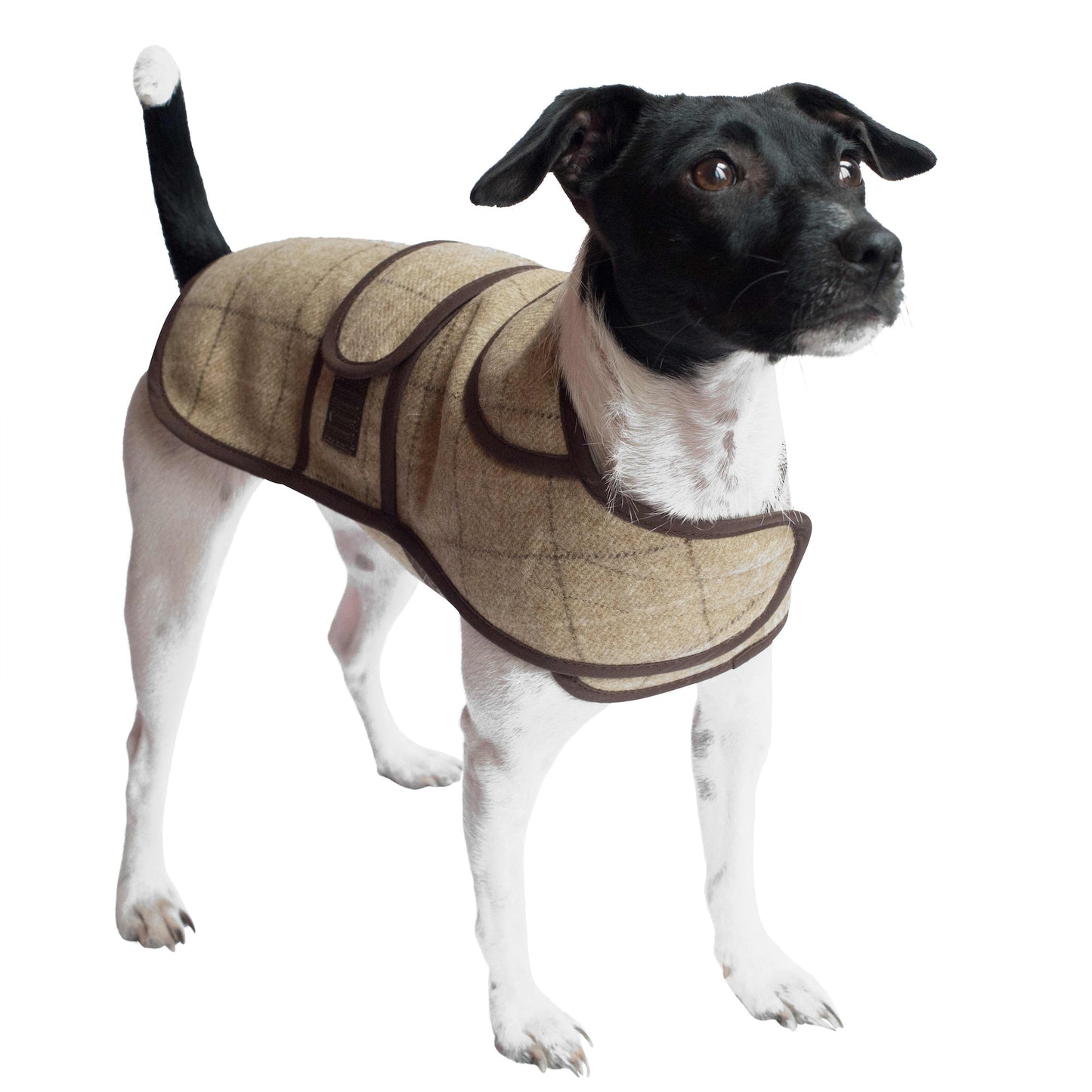 Jasper Dog Coat - スレート オートミール