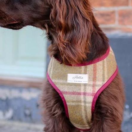 Scooby Dog Harness - アーンクリフ ムーンストーン